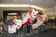 Lion Dancers